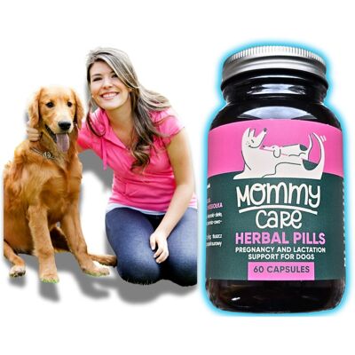 Inny producent MOMMY CARE SUPLEMENT DIETY DLA SUCZEK W CIĄŻY W CZASIE LAKTACJI 60 KAPSUŁEK Inny producent MOMMY CARE SUPLEMENT DIETY DLA SUCZEK W CIĄŻY W CZASIE LAKTACJI 60 KAPSUŁEK