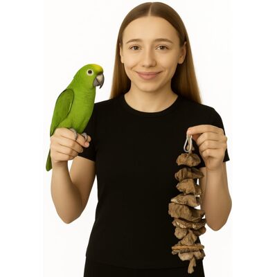 Bioterr Naturalna zabawka Gryzak z Dębu korkowego Korek na sznurku dla małych i średnich papug Bioterr Naturalna zabawka Gryzak z Dębu korkowego Korek na sznurku dla małych i średnich papug