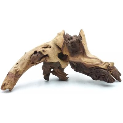 Greenwood Naturalny Korzeń Mopani - dla Wszystkich Papug Greenwood Naturalny Korzeń Mopani - dla Wszystkich Papug