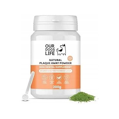 Inny producent Naturalny Proszek na Kamień Nazębny Zdrowe zęby psa kota 200g WYDAJNY Inny producent Naturalny Proszek na Kamień Nazębny Zdrowe zęby psa kota 200g WYDAJNY