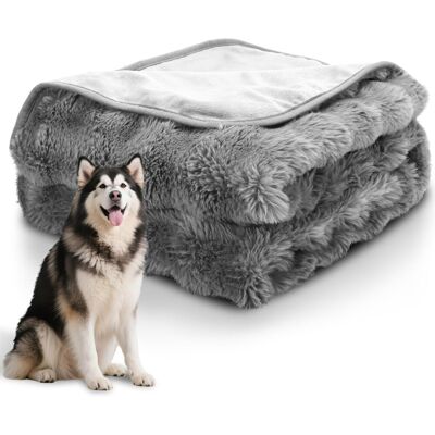 Inny producent Nobelza Nieprzemakalny Koc dla Psa, Miękki Pluszowy Koc dla Psów i Kotów, XXL 200 x 150 cm, Dwustronny, Nadający się do Prania, Zabezpiecza Meble pr.. Inny producent Nobelza Nieprzemakalny Koc dla Psa, Miękki Pluszowy Koc dla Psów i Kotów, XXL 200 x 150 cm, Dwustronny, Nadający się do Prania, Zabezpiecza Meble pr..