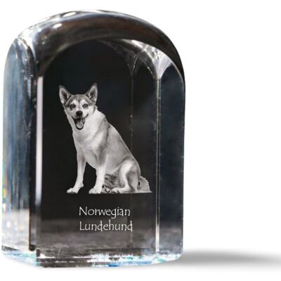 Norweski pies na maskonury, Norwegian Lundehund - kryształowa kostka ze zdjęciem, zdjęcie psa w krysztale, sześcienny przycisk do papieru marki Art-.. Norweski pies na maskonury, Norwegian Lundehund - kryształowa kostka ze zdjęciem, zdjęcie psa w krysztale, sześcienny przycisk do papieru marki Art-..