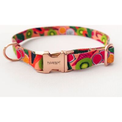 Psiakrew Obroża dla Psa Regulowana Tutti Frutti, wąska 2 cm, dla mniejszych psów i szczeniaków-L 34-44 cm Psiakrew Obroża dla Psa Regulowana Tutti Frutti, wąska 2 cm, dla mniejszych psów i szczeniaków-L 34-44 cm