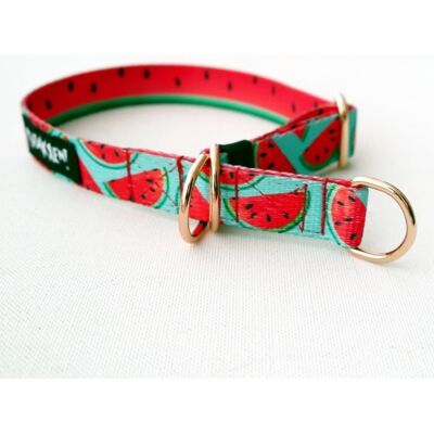 Psiakrew Obroża półzaciskowa Watermelon szeroka na 2 cm, dla małych psów, różowe złoto-S/M Psiakrew Obroża półzaciskowa Watermelon szeroka na 2 cm, dla małych psów, różowe złoto-S/M