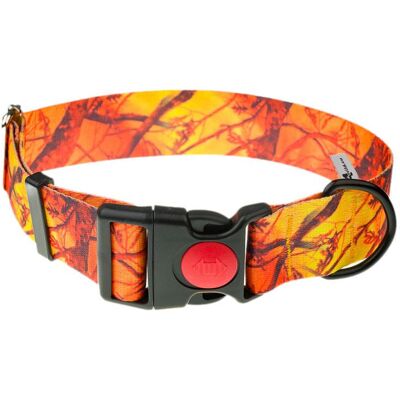Obroża z taśmy 4wild.eu 40 mm 39-61 cm pomarańczowy kamuflaż Obroża z taśmy 4wild.eu 40 mm 39-61 cm pomarańczowy kamuflaż