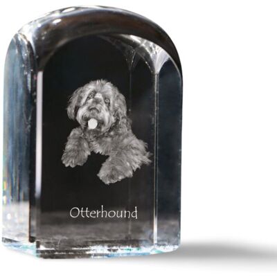 Otterhound, Pies na wydry - kryształowa kostka ze zdjęciem, zdjęcie psa w krysztale, sześcienny przycisk do papieru marki Art-Dog Otterhound, Pies na wydry - kryształowa kostka ze zdjęciem, zdjęcie psa w krysztale, sześcienny przycisk do papieru marki Art-Dog