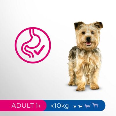 Perfect Fit Adult Sucha karma dla małych ras z kurczakiem Perfect Fit Adult Sucha karma dla małych ras z kurczakiem
