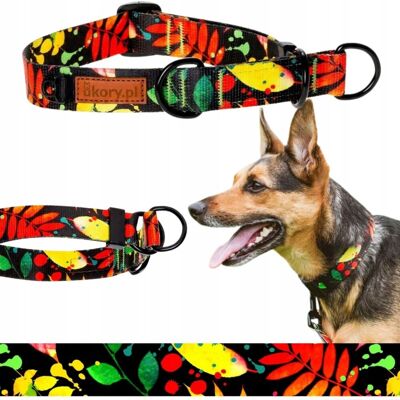 PÓŁZACISKOWA obroża dla aktywnego małego psa 26-34 cm Ukory KOLOROWE liście PÓŁZACISKOWA obroża dla aktywnego małego psa 26-34 cm Ukory KOLOROWE liście