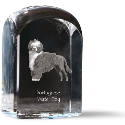 Portugalski pies dowodny - kryształowa kostka ze zdjęciem, zdjęcie psa w krysztale, sześcienny przycisk do papieru marki Art-Dog Portugalski pies dowodny - kryształowa kostka ze zdjęciem, zdjęcie psa w krysztale, sześcienny przycisk do papieru marki Art-Dog