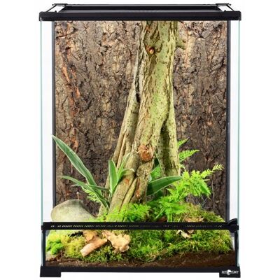 Inny producent Repti Planet Terrarium Szklane 30 X 30 X 45 Cm Inny producent Repti Planet Terrarium Szklane 30 X 30 X 45 Cm
