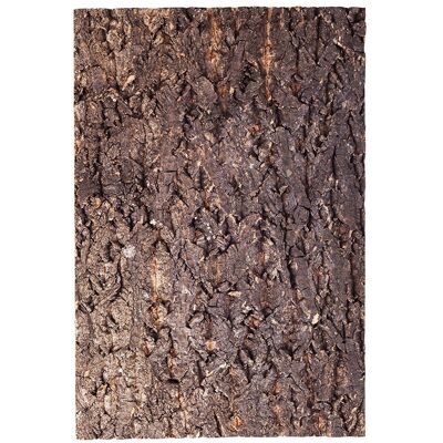 Repti-Zoo Big Tree Background - Tło Z Kory Do Terrarium 30x45cm Repti-Zoo Big Tree Background - Tło Z Kory Do Terrarium 30x45cm