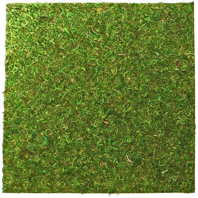 Repti-Zoo Natural Moss Back⊥ - Naturalne Tło I Podłoże Z Mchu 45x45cm Repti-Zoo Natural Moss Back⊥ - Naturalne Tło I Podłoże Z Mchu 45x45cm