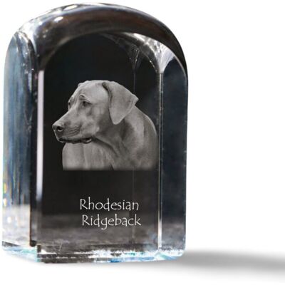 Rhodesian Ridgeback, Afrykański pies na lwy - kryształowa kostka ze zdjęciem, zdjęcie psa w krysztale, sześcienny przycisk do papieru marki Art-Dog Rhodesian Ridgeback, Afrykański pies na lwy - kryształowa kostka ze zdjęciem, zdjęcie psa w krysztale, sześcienny przycisk do papieru marki Art-Dog