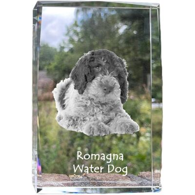 Romański pies wodny - kryształ ze zdjęciem psa, zdjęcie w szkle, nowoczesna ekspozycja zdjęcia marki Art-Dog Romański pies wodny - kryształ ze zdjęciem psa, zdjęcie w szkle, nowoczesna ekspozycja zdjęcia marki Art-Dog