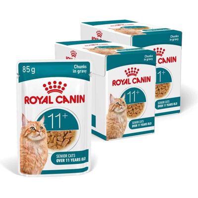 Royal Canin Ageing 11+ Karma Mokra 24x85g Kawałki w Sosie Dla Kotów Dojrzałych Po 11 Roku Życia Royal Canin Ageing 11+ Karma Mokra 24x85g Kawałki w Sosie Dla Kotów Dojrzałych Po 11 Roku Życia