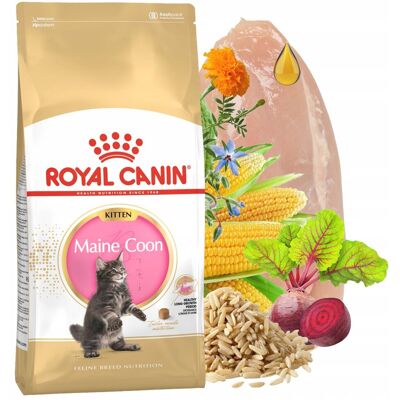 ROYAL CANIN Maine Coon Kitten karma sucha dla kociąt 10 kg ROYAL CANIN Maine Coon Kitten karma sucha dla kociąt 10 kg