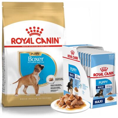 Royal Canin Puppy Boxer Sucha Karma Dla Szczeniąt 12kg + Mokra W Sosie 12x85g Royal Canin Puppy Boxer Sucha Karma Dla Szczeniąt 12kg + Mokra W Sosie 12x85g
