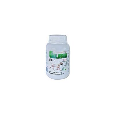 GELACAN Fast 150 g - Suplement wspierający stawy GELACAN Fast 150 g - Suplement wspierający stawy