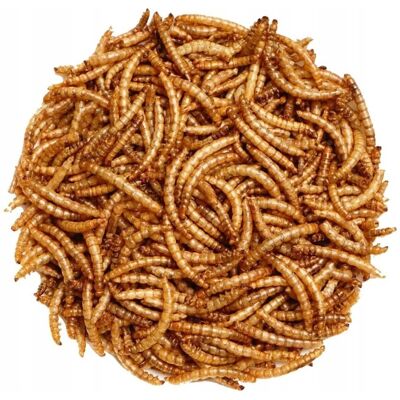 Den Drobena Suszone larwy mącznika młynarka 5kg Den Drobena Suszone larwy mącznika młynarka 5kg
