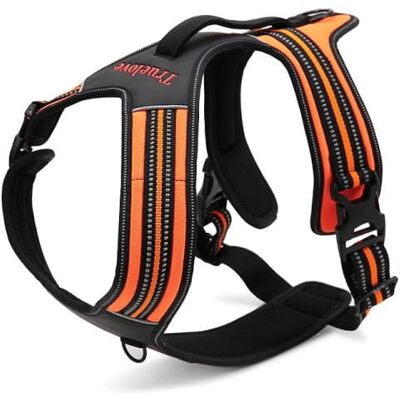 Truelove Security - Security - Pomarańczowy - M (60-72 cm) - Szelki dla psa Truelove Security - Security - Pomarańczowy - M (60-72 cm) - Szelki dla psa