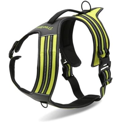 Truelove - Security - XL 90-125 cm - Lime - Szelki dla psa Truelove - Security - XL 90-125 cm - Lime - Szelki dla psa