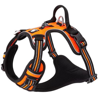 Truelove - Front Line Premium - Pomarańczowy - M - Harness Truelove - Front Line Premium - Pomarańczowy - M - Harness