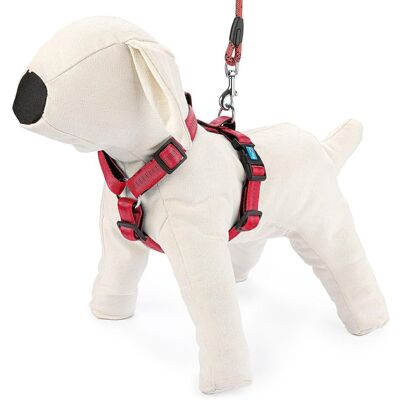 Happet Szelki Regulowane Soft Style Xl Czerwone Happet Szelki Regulowane Soft Style Xl Czerwone