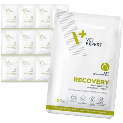 Vetexpert Veterinary Diet Recovery Cat 12x100g Mokra Weterynaryjna Karma Dla Kotów W Okresie Rekonwalescencji Vetexpert Veterinary Diet Recovery Cat 12x100g Mokra Weterynaryjna Karma Dla Kotów W Okresie Rekonwalescencji