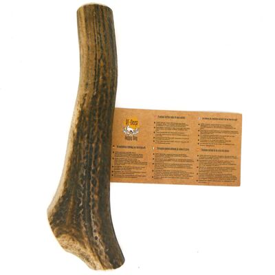 RF-Deer - Deer Antler - XL Hard - 17-19 cm - Dog chew RF-Deer - Deer Antler - XL Hard - 17-19 cm - Dog chew