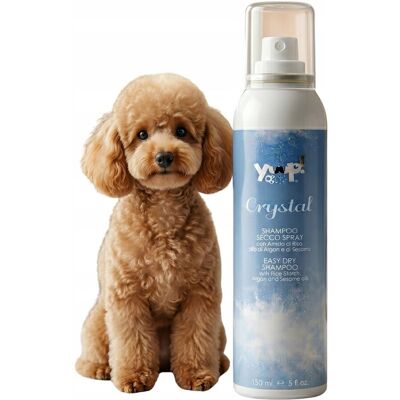 Yuup! Fashion Crystal Easy Dry Suchy Szampon dla Psa i Kota w Sprayu z Olejkiem Arganowym i Sezamowym bez Spłukiwania 150 ml Yuup! Fashion Crystal Easy Dry Suchy Szampon dla Psa i Kota w Sprayu z Olejkiem Arganowym i Sezamowym bez Spłukiwania 150 ml