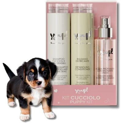 Inny producent Yuup! Zestaw do Pielęgnacji Szczeniąt Szampon 250 ml Odżywka 250 ml Perfumowana Mgiełka 150 ml Wrażliwa Skóra Keratyna Proteiny Inny producent Yuup! Zestaw do Pielęgnacji Szczeniąt Szampon 250 ml Odżywka 250 ml Perfumowana Mgiełka 150 ml Wrażliwa Skóra Keratyna Proteiny