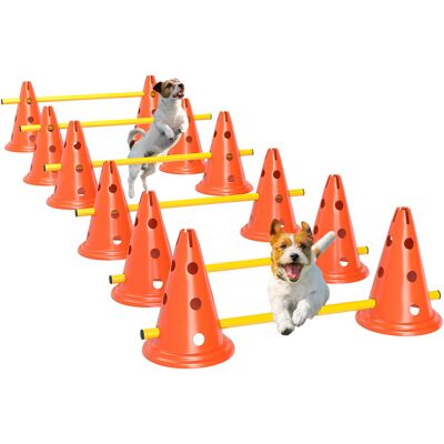 Zestaw Agility dla psów PawHut, 6 elementów, treningowy Zestaw Agility dla psów PawHut, 6 elementów, treningowy