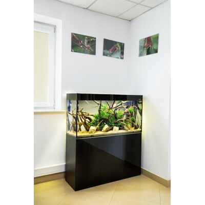 Aquael Zestaw Akw. Glossy St 100 D&N; Czarny Aquael Zestaw Akw. Glossy St 100 D&N; Czarny