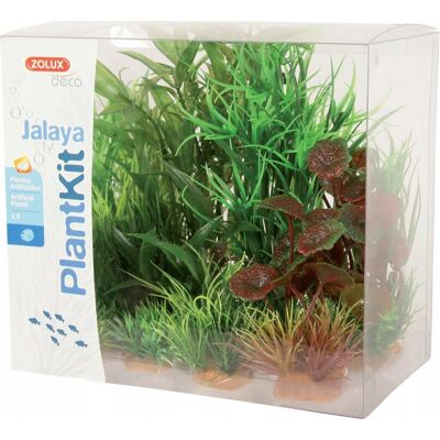 ZOLUX Dekoracja roślinna PLANTKIT JALAYA model 2 (352146) ZOLUX Dekoracja roślinna PLANTKIT JALAYA model 2 (352146)