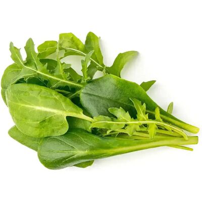 Zestaw sałat wewnętrznych Click & Grow - 9 kapsułek, Mieszanka Zielona Zestaw sałat wewnętrznych Click & Grow - 9 kapsułek, Mieszanka Zielona