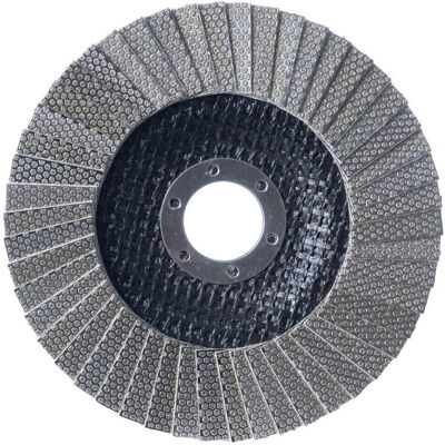 Tarcza ścierna listkowa diamentowa 125 x 22,2 mm gradacja 200 (WT643) PRO Tarcza ścierna listkowa diamentowa 125 x 22,2 mm gradacja 200 (WT643) PRO