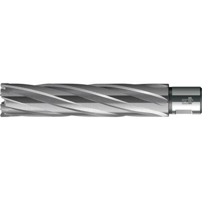Inny producent Wiertlo rdzeniowe HKE-L Weldon Wegl.b.dl., 40/110 mm BDS Inny producent Wiertlo rdzeniowe HKE-L Weldon Wegl.b.dl., 40/110 mm BDS