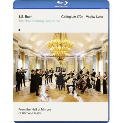 Accentus Music Bach: The Brandenburg Concertos Accentus Music Bach: The Brandenburg Concertos