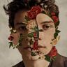 Shawn Mendes (Deluxe Edition)