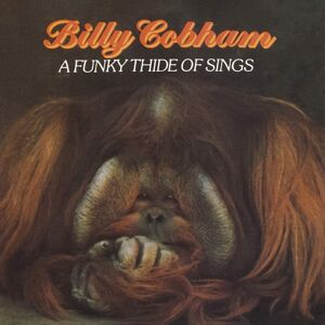 Music On CD A Funky Thide Of Sings (Remastered) Music On CD A Funky Thide Of Sings (Remastered)