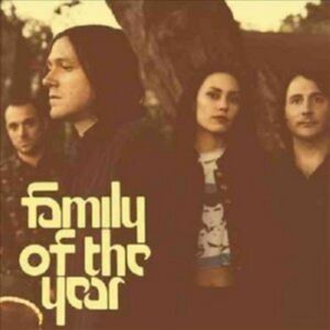 Do Not Use Family Of The Year, płyta winylowa Do Not Use Family Of The Year, płyta winylowa