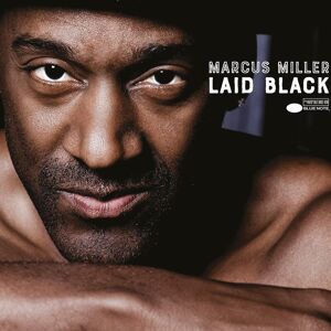 Blue Note Laid Black Blue Note Laid Black