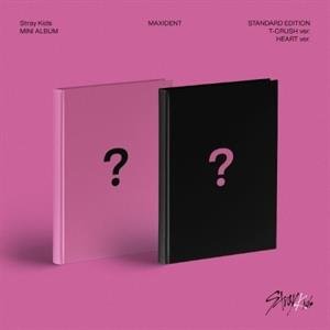 Jyp Entertainment Maxident Jyp Entertainment Maxident