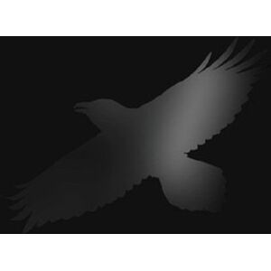ADA Odins Raven Magic (With Steindór Andersen, Hilmar Örn Hilmarsson and Maria Huld Markan Sigfusdóttir), płyta winylowa ADA Odins Raven Magic (With Steindór Andersen, Hilmar Örn Hilmarsson and Maria Huld Markan Sigfusdóttir), płyta winylowa