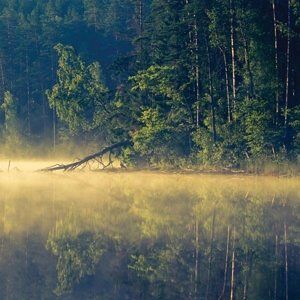 Denovali Oneirogen - Plentitude, płyta winylowa Denovali Oneirogen - Plentitude, płyta winylowa