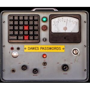 ADA Passwords, płyta winylowa ADA Passwords, płyta winylowa