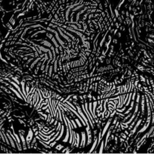 Hyperdub Records Sebenza, płyta winylowa Hyperdub Records Sebenza, płyta winylowa