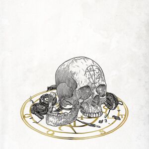 Sony Skull 2019, płyta winylowa Sony Skull 2019, płyta winylowa
