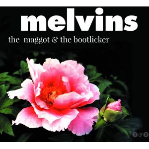 PIAS Records The Maggot The Bootlicker, płyta winylowa PIAS Records The Maggot The Bootlicker, płyta winylowa