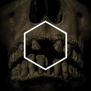Membran The Others Lustmord Deconstructed, płyta winylowa Membran The Others Lustmord Deconstructed, płyta winylowa
